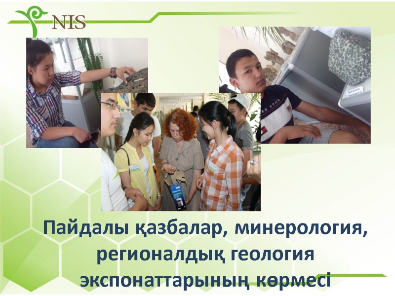 Пайдалы қазбалар, минерология, регионалдық геология экспонаттарының көрмесі